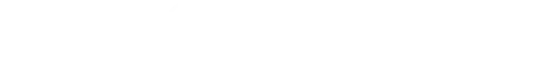 The Sina Times white logo