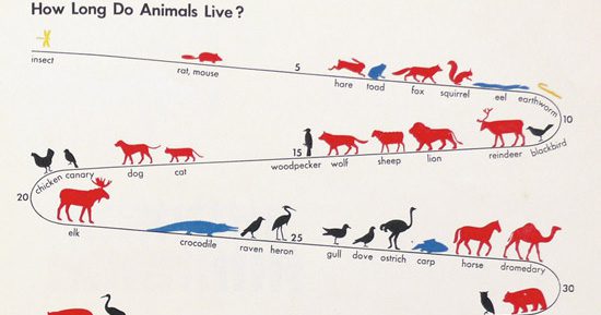 , 201103isotype11