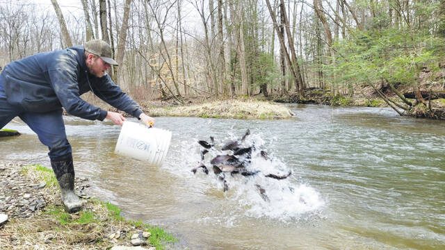 PFBC is continuing to put trout into lakes and streams in Pennsylvania before the fishing season starts , 202403130431266 web1 thumbnail James 20Moyer