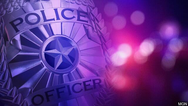 , 202403130476471 web1 Police badge graphic