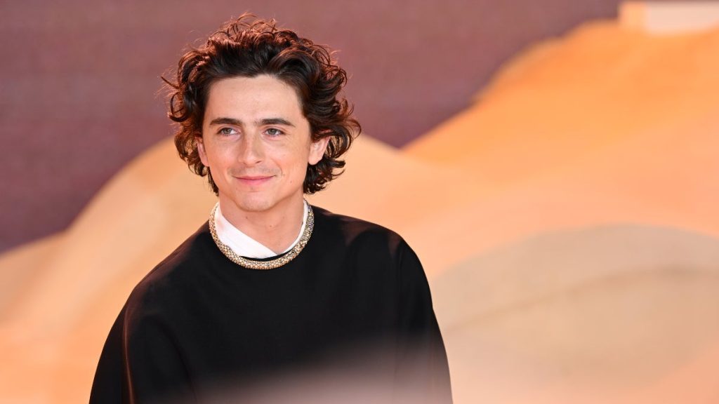 , 202403timothee chalamet dune premiere