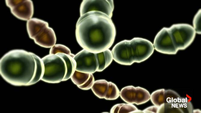 Click to play video: Strep A cases on the rise in the Maritimes