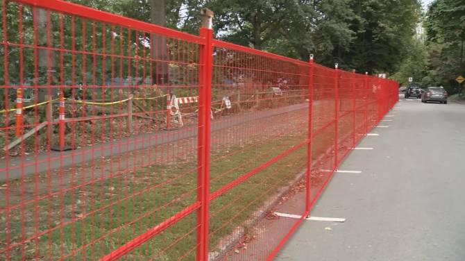 Click to play video: Province plans to trap and kill up to 35 coyotes in Stanley Park
