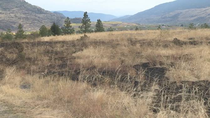 Click to play video: An Oliver grass fire believed to be started by fireworks
