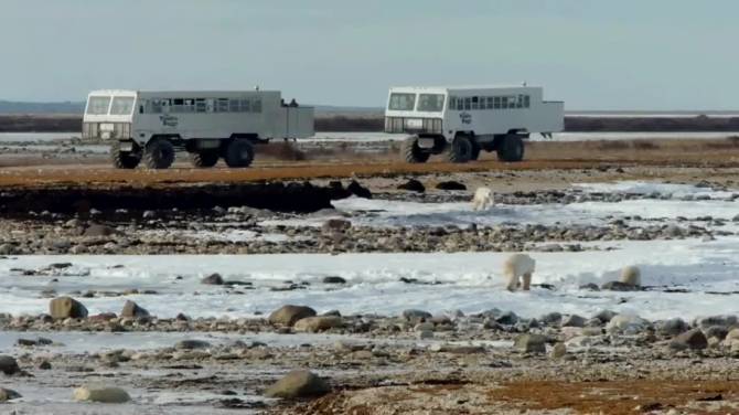 Click to play video: Getting people to Churchill