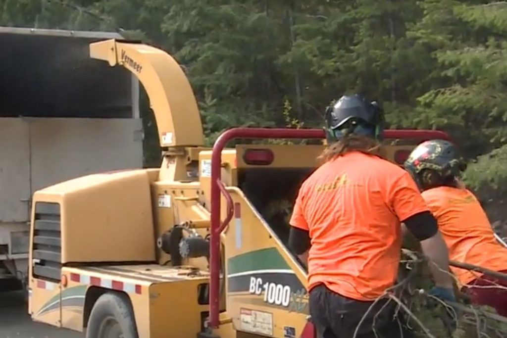, 202404Tree chipping