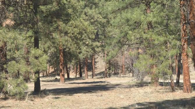 Click to play video: 2024 B.C. wildfire season has started
