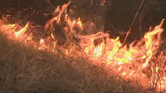Click to play video: Wildfire Season Outlook