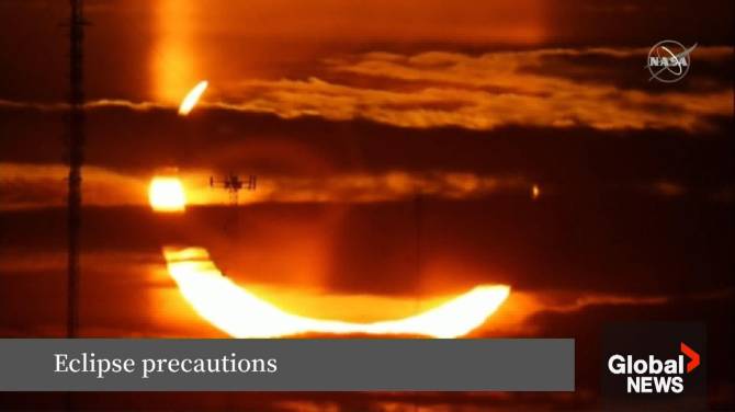 Click to play video: How humans and pets can stay safe during the total eclipse